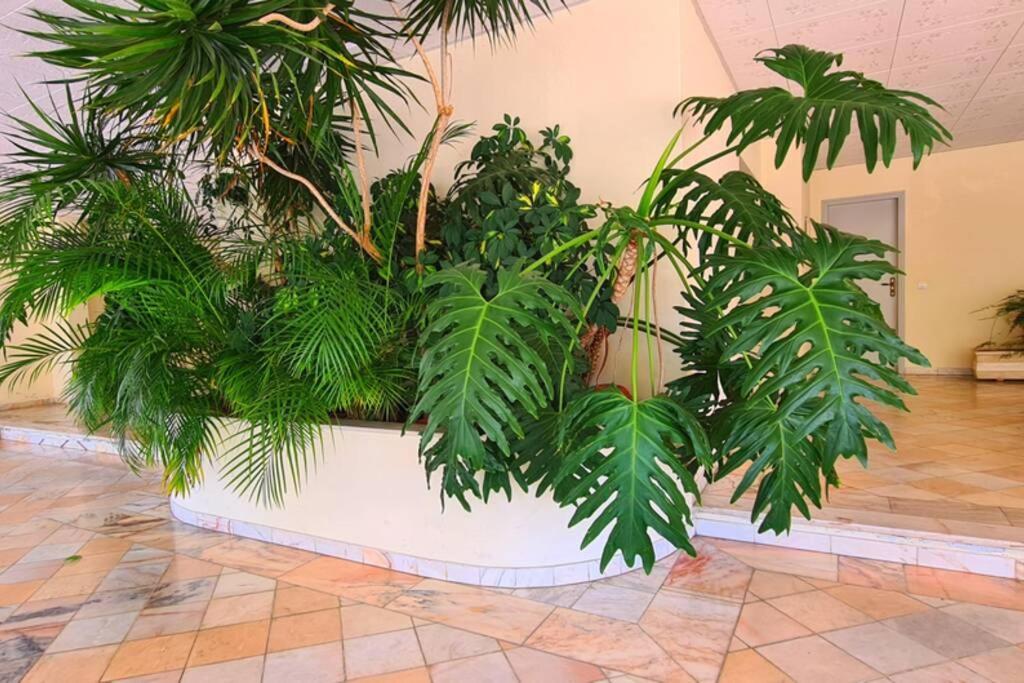 Comfort Zone Beach Apartment Куартейра Екстер'єр фото